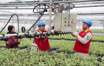 東臺供電:“春檢”服務工廠化育苗用電