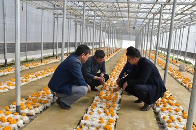 政府圍著企業轉 永勝各部門當好“服務員”_頭圖