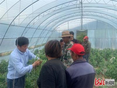 河北張家口市下花園區科技扶貧培訓先行