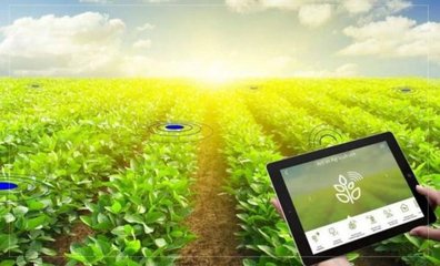 智慧農(nóng)業(yè)是做什么的呢 智慧農(nóng)業(yè)靠什么賺錢