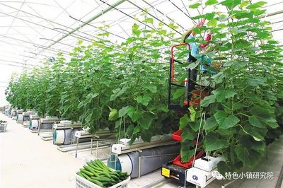 【新業態】休閑農業、互聯網+農業、智慧農業…