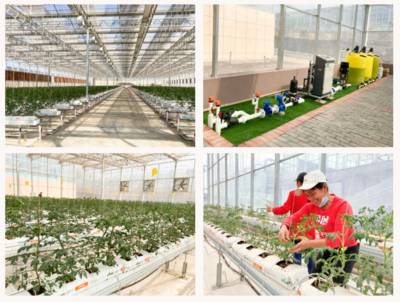 廣州市智慧農業服務股份 · 2022 年度十大回顧