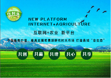 “互聯網+”優秀案例:“在村頭”益農信息社電商平臺