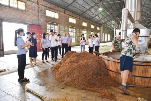 河北農(nóng)業(yè)大學(xué)食品科技學(xué)院師生赴 劉伶醉 開(kāi)展社會(huì)實(shí)踐活動(dòng)