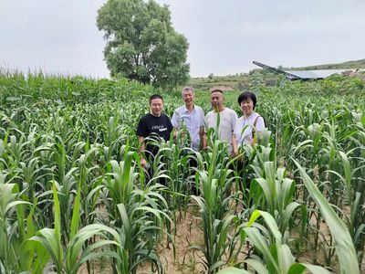 經(jīng)作所三區(qū)特派團(tuán)在渾源縣召開對(duì)接會(huì)并開展技術(shù)服務(wù)