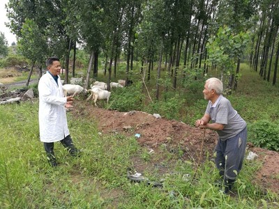 平頂山石龍區(qū)強化科技服務 助推農(nóng)業(yè)增效農(nóng)民增收