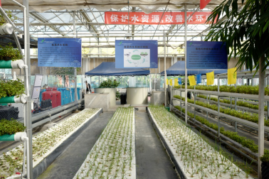 【云參觀回看】相約北京國際都市農業科技節!感受不一樣的農業“水科技”(中農天陸)