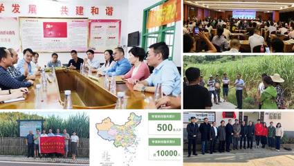 黨建巡禮·樣板支部 | 黨建引領聚合力,守護中國“糖罐子”